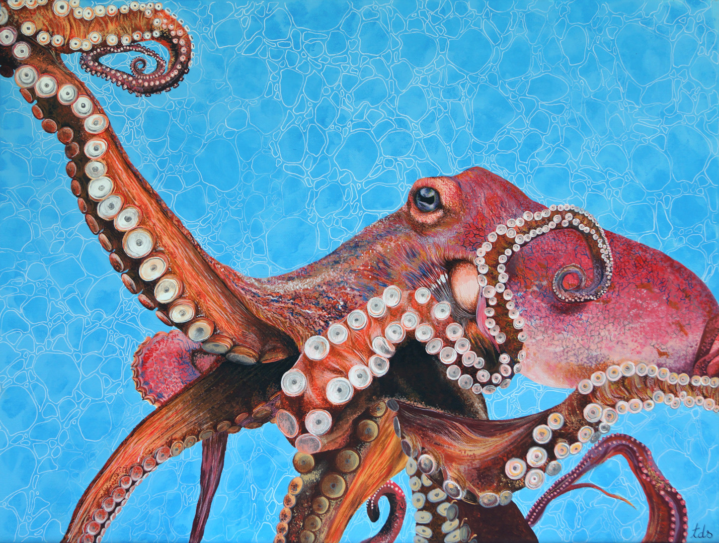 Octopus Painting By Tracy De Sousa Artmajeur