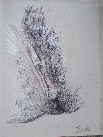 Disegno intitolato "INTIME V" da Michel Moskovtchenko, Opera d'arte originale, Altro