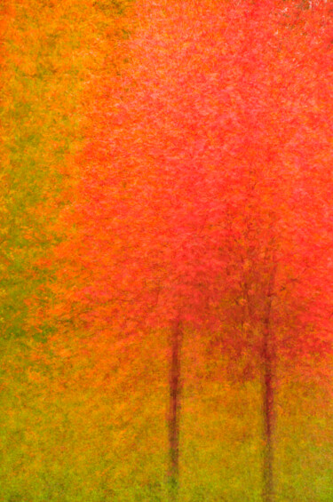 Fotografie mit dem Titel "Maple Monet" von John Pingree, Original-Kunstwerk, Digitale Fotografie