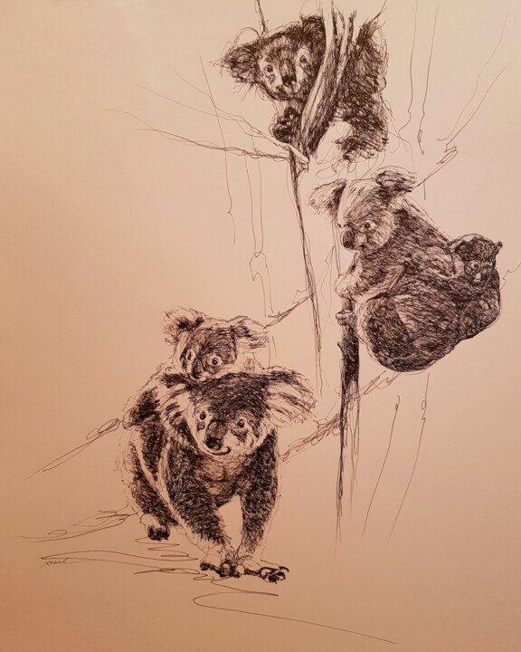 Dessin intitulée "Koalas" par Karl Robial, Œuvre d'art originale, Encre