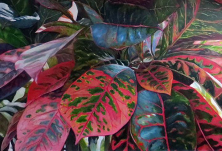 croton-80x120.jpg