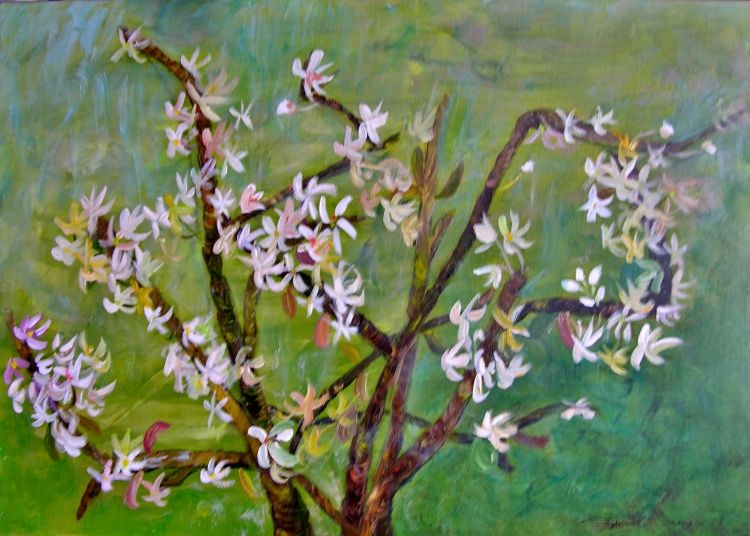 amelanchier-50x70cm.jpg