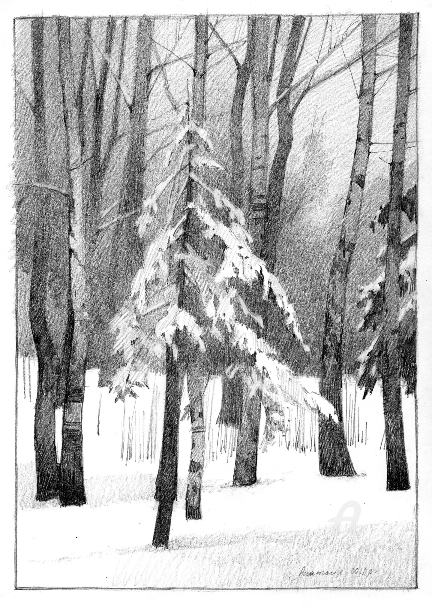 Зимний лес березы рисунок карандашом