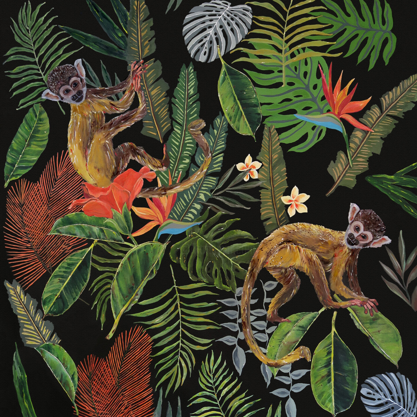 tropical rainforests monkeys