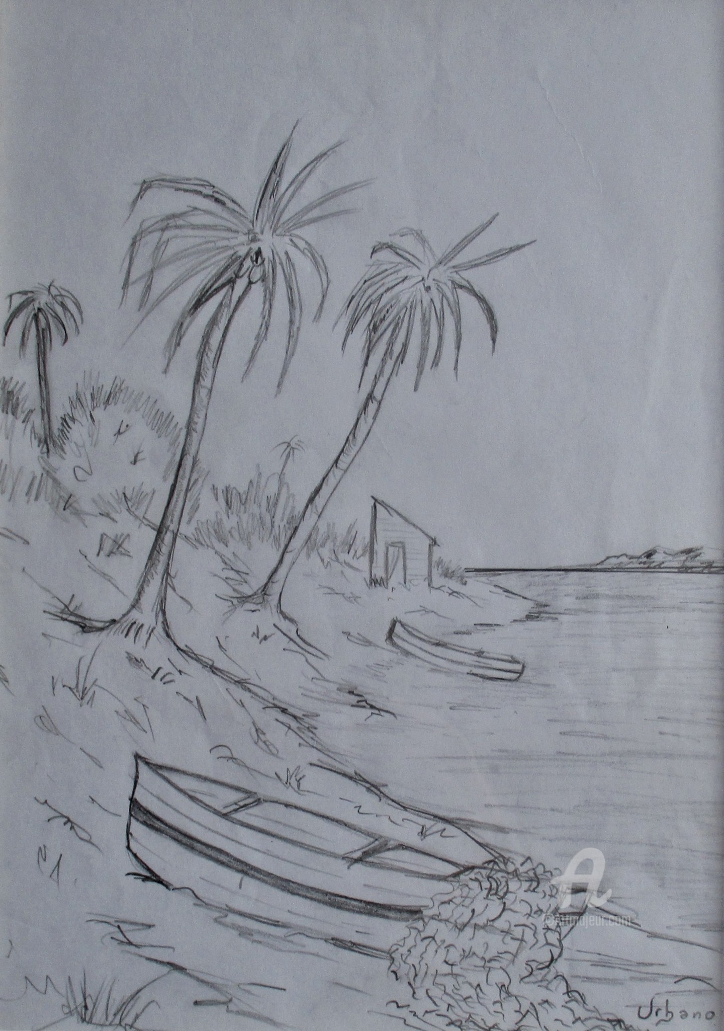 Paysage De Guadeloupe, Dessin par Roberto Urbano | Artmajeur