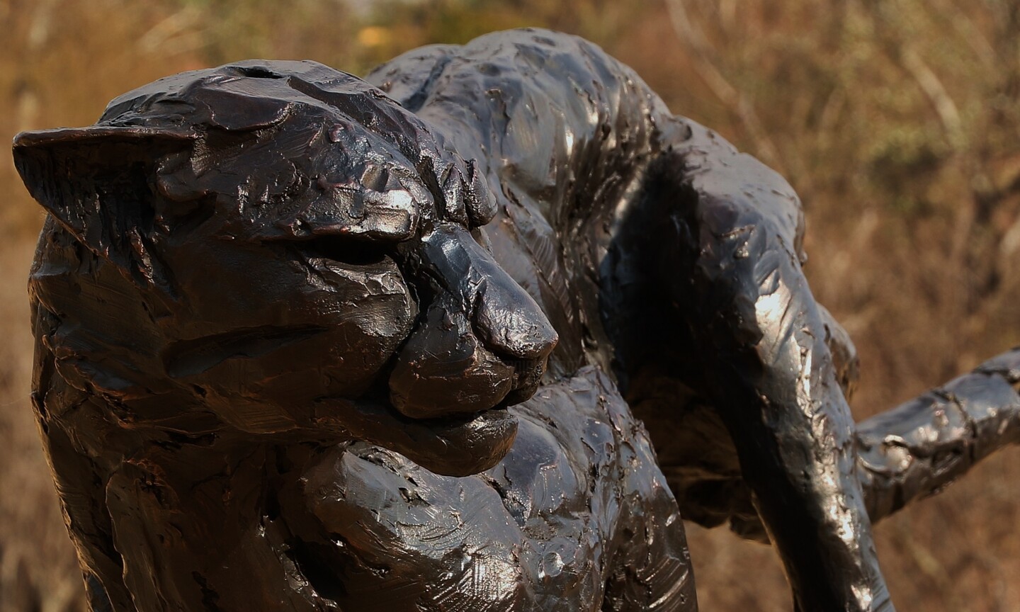 Cheetah Hunting bronze sculpture – Marula Decor