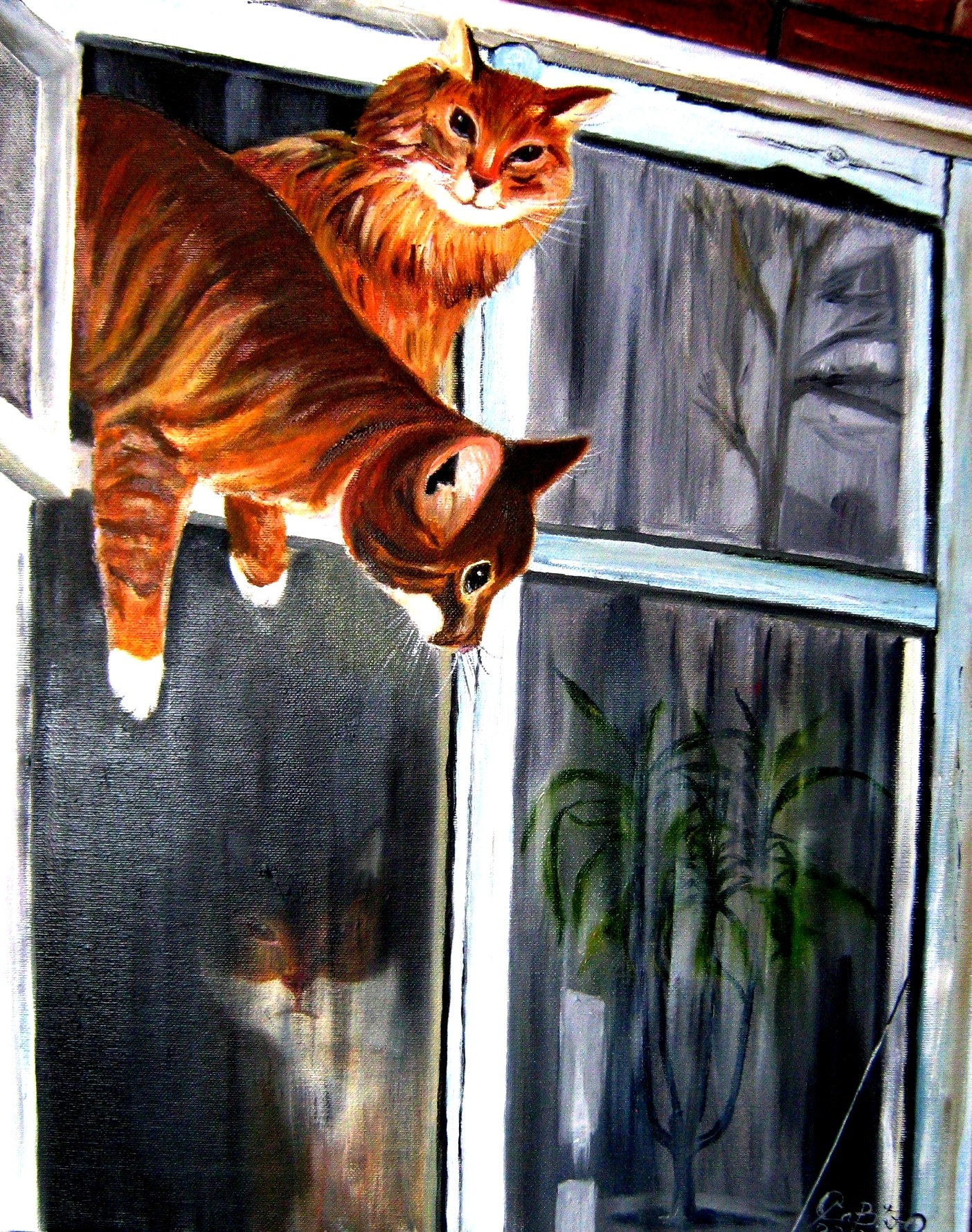 Рыжая кошка на окне