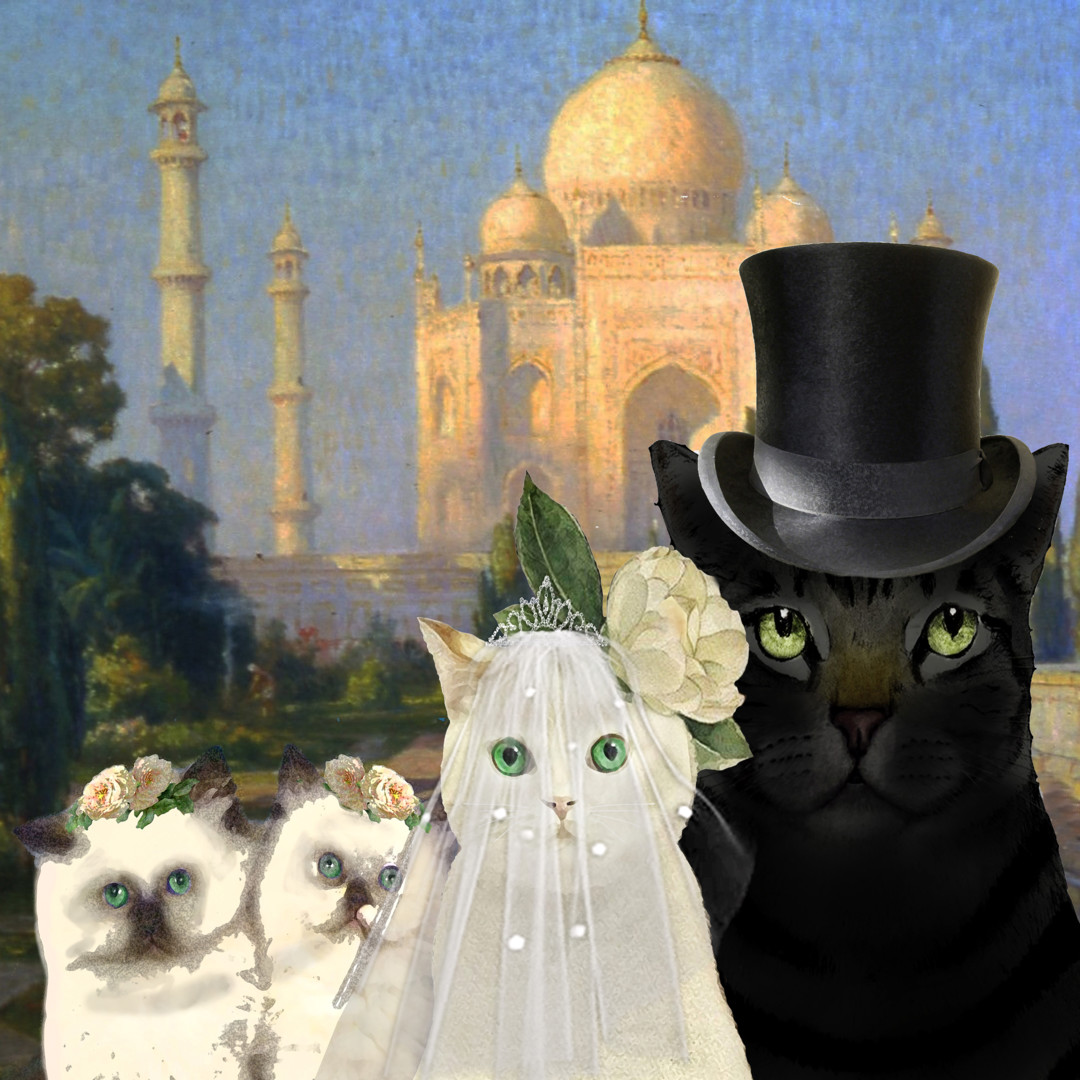 Кошки свадьба открытки