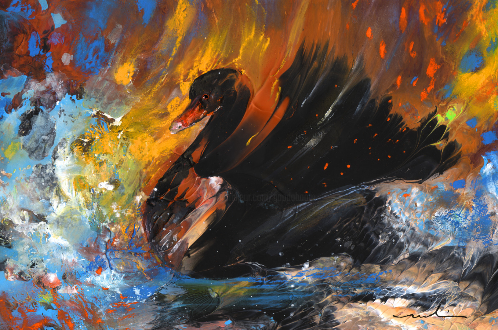 black swan painting