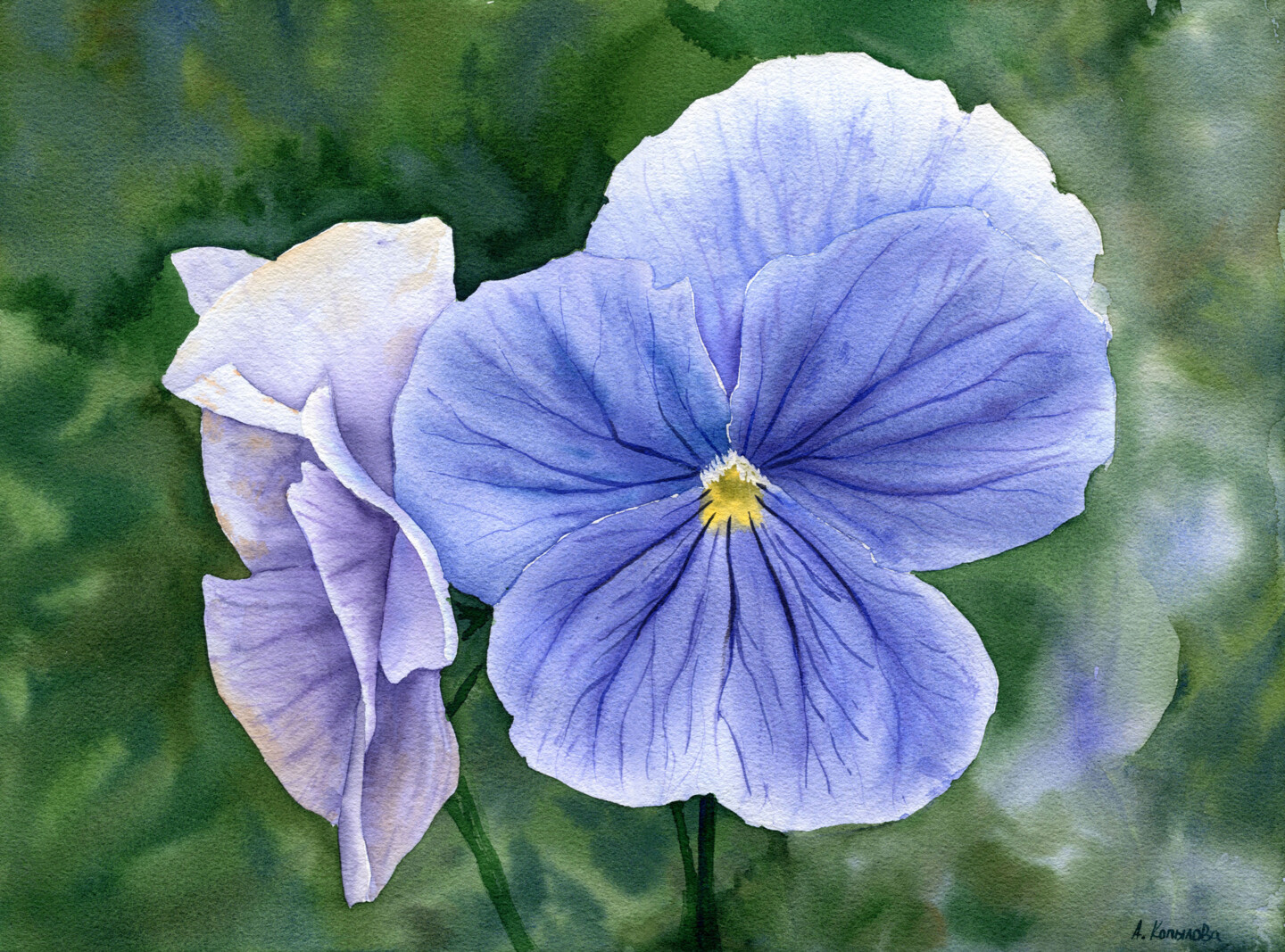 Pansy Flowers Painting  Art Of Paint By Numbers