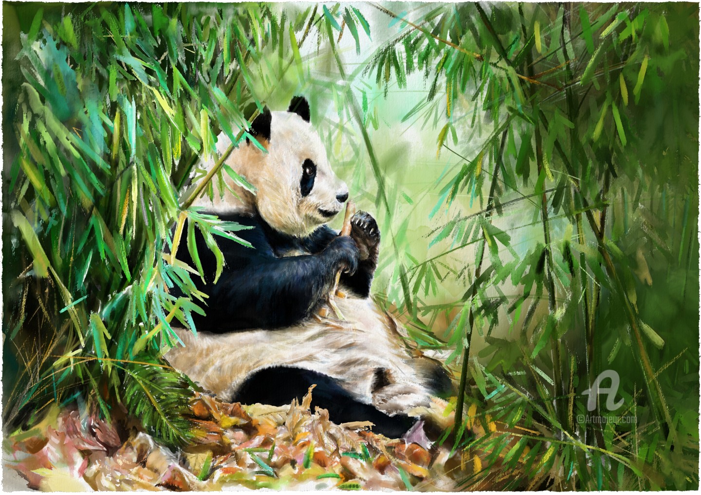 pandas eating bamboo