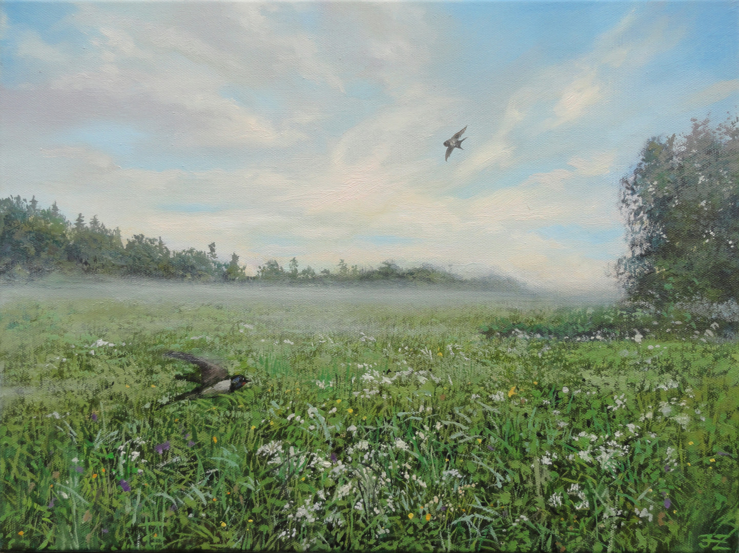 Meadow After Rain, Painting by Janis Zingitis | Artmajeur
