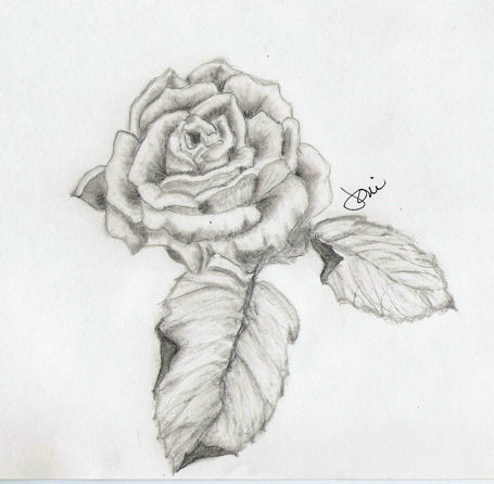 Việc vẽ hoa hồng bằng bút chì không những đem lại cảm giác thư giãn mà còn giúp bạn tạo nên những tác phẩm nghệ thuật đẹp mắt. Đừng bỏ lỡ cơ hội để khám phá những kỹ thuật đơn giản tuyệt vời để vẽ hoa hồng bằng bút chì.