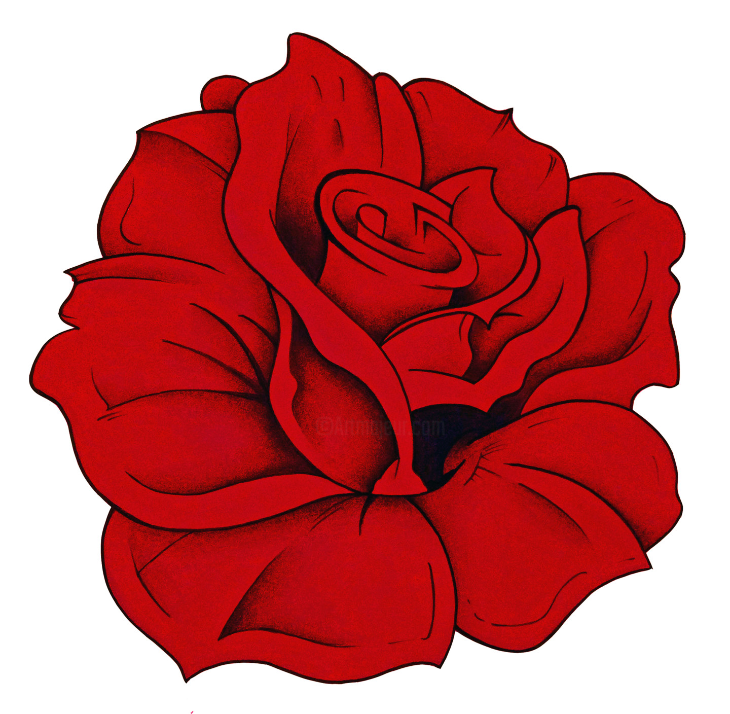 Red Rose., Drawing by Cloé Pierson Artmajeur