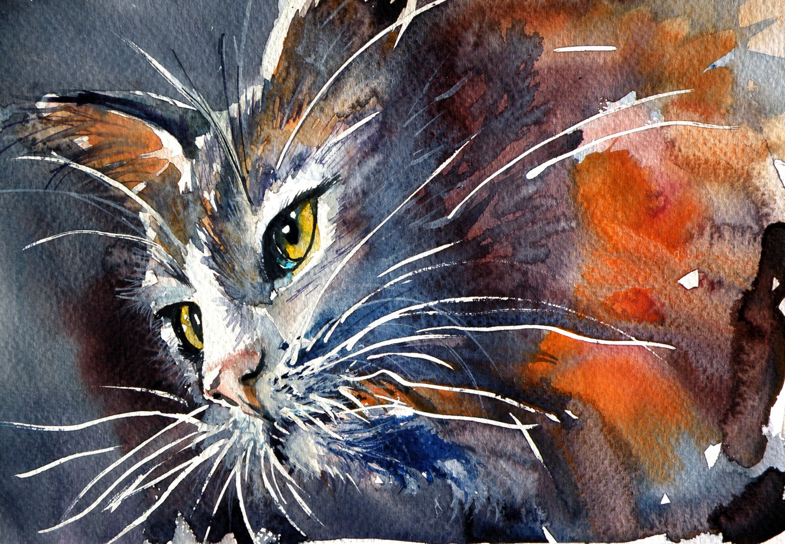 Kovacs Anna Brigitta Watercolor коты
