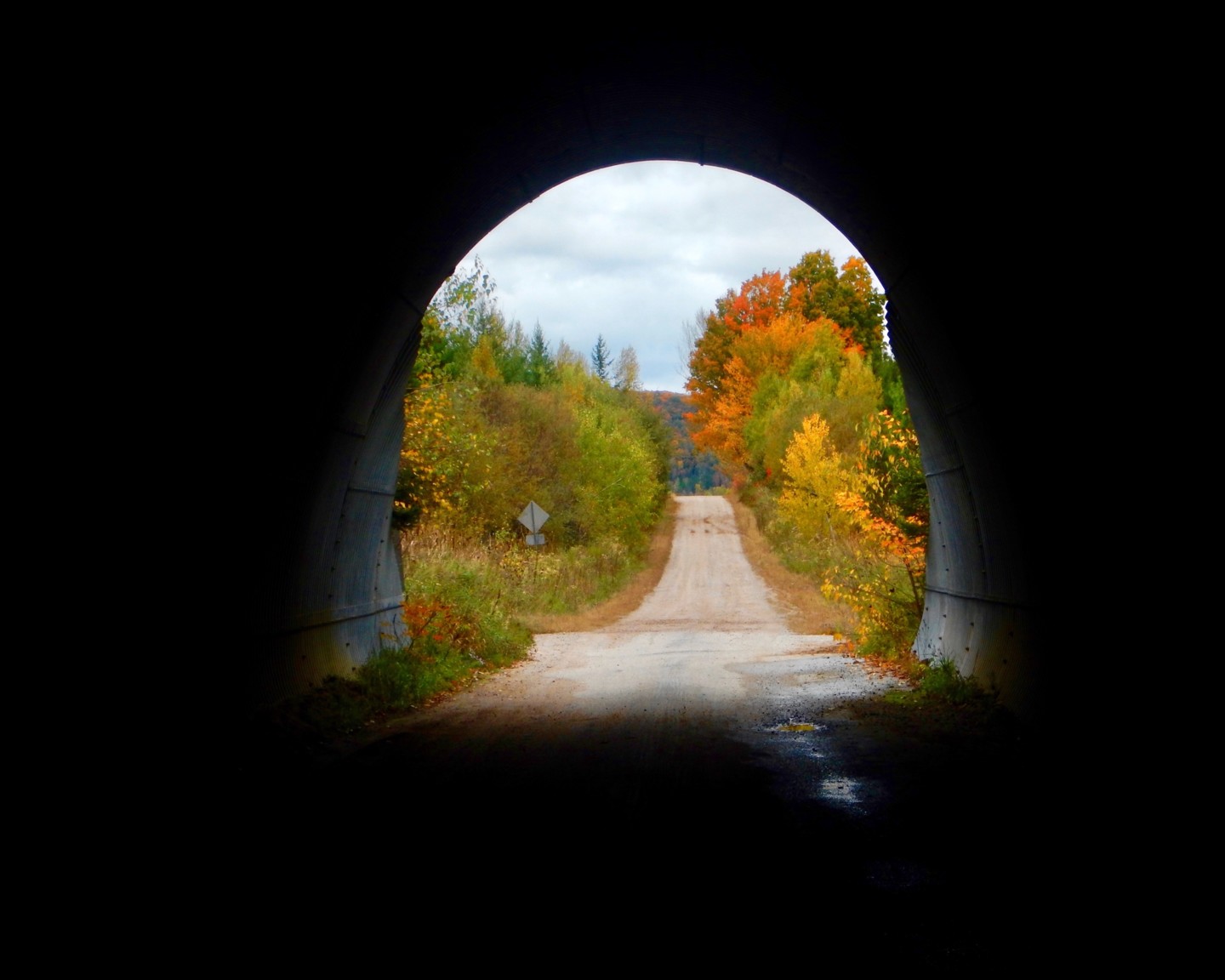 Tunnel Vision, Фотография - Linda Hegland | Artmajeur