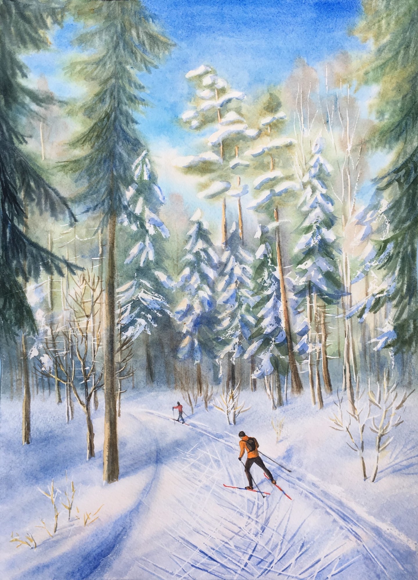 Лыжники в лесу