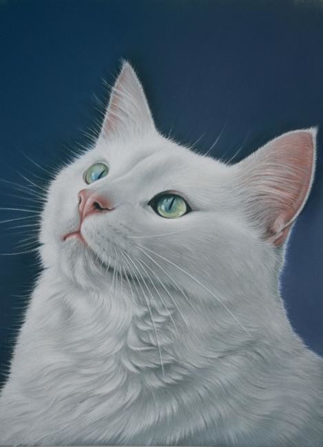 Le Chat Blanc Painting By Christian Michaut Artmajeur