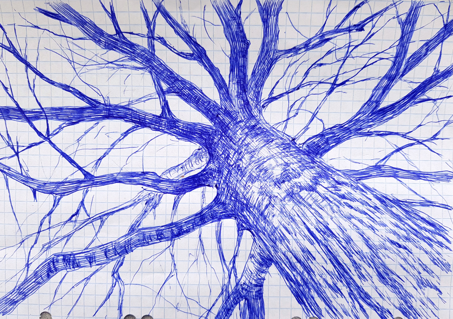 Фантастическое дерево рисунок 2 класс