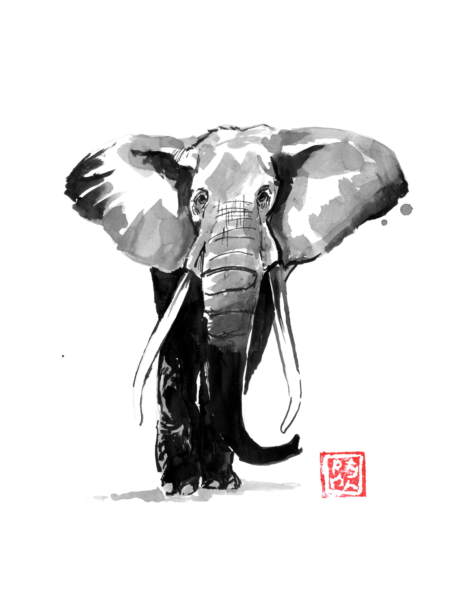 chinese elephant