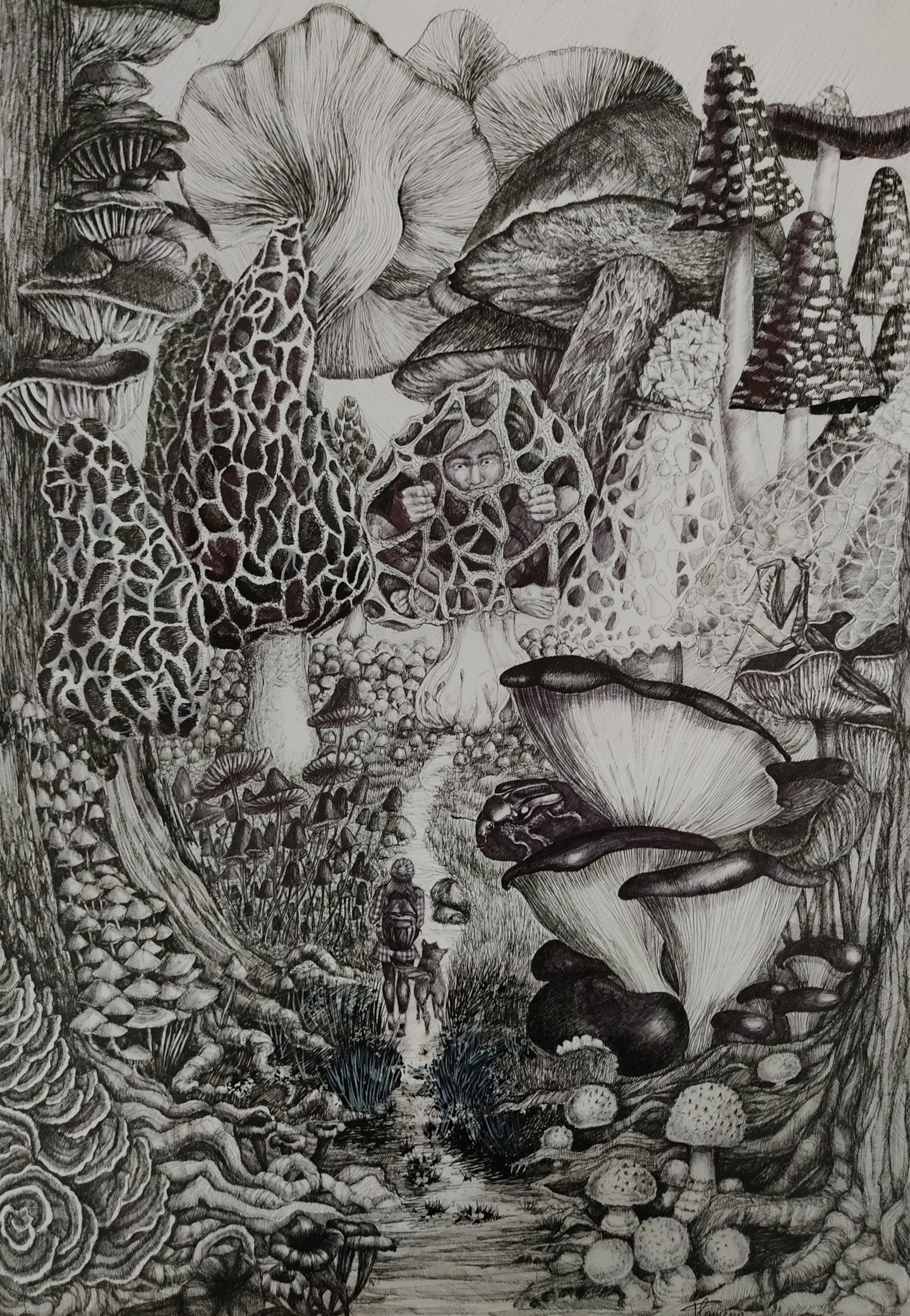forest drawing