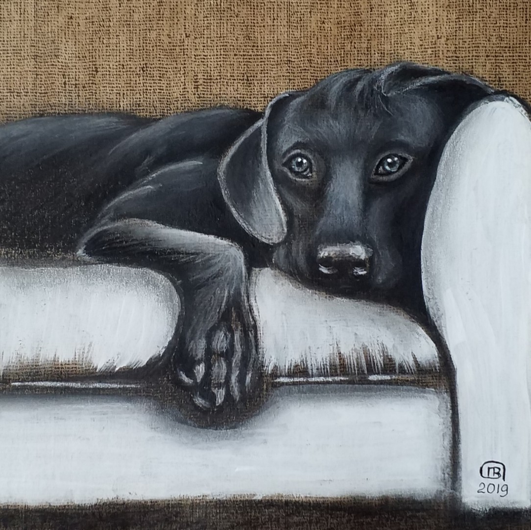 Живопись собака на диване
