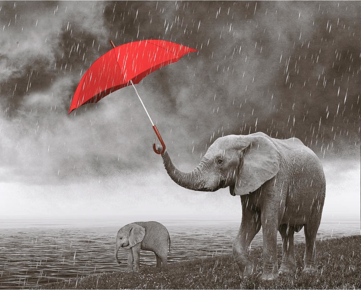 Слоник и зонтик арт