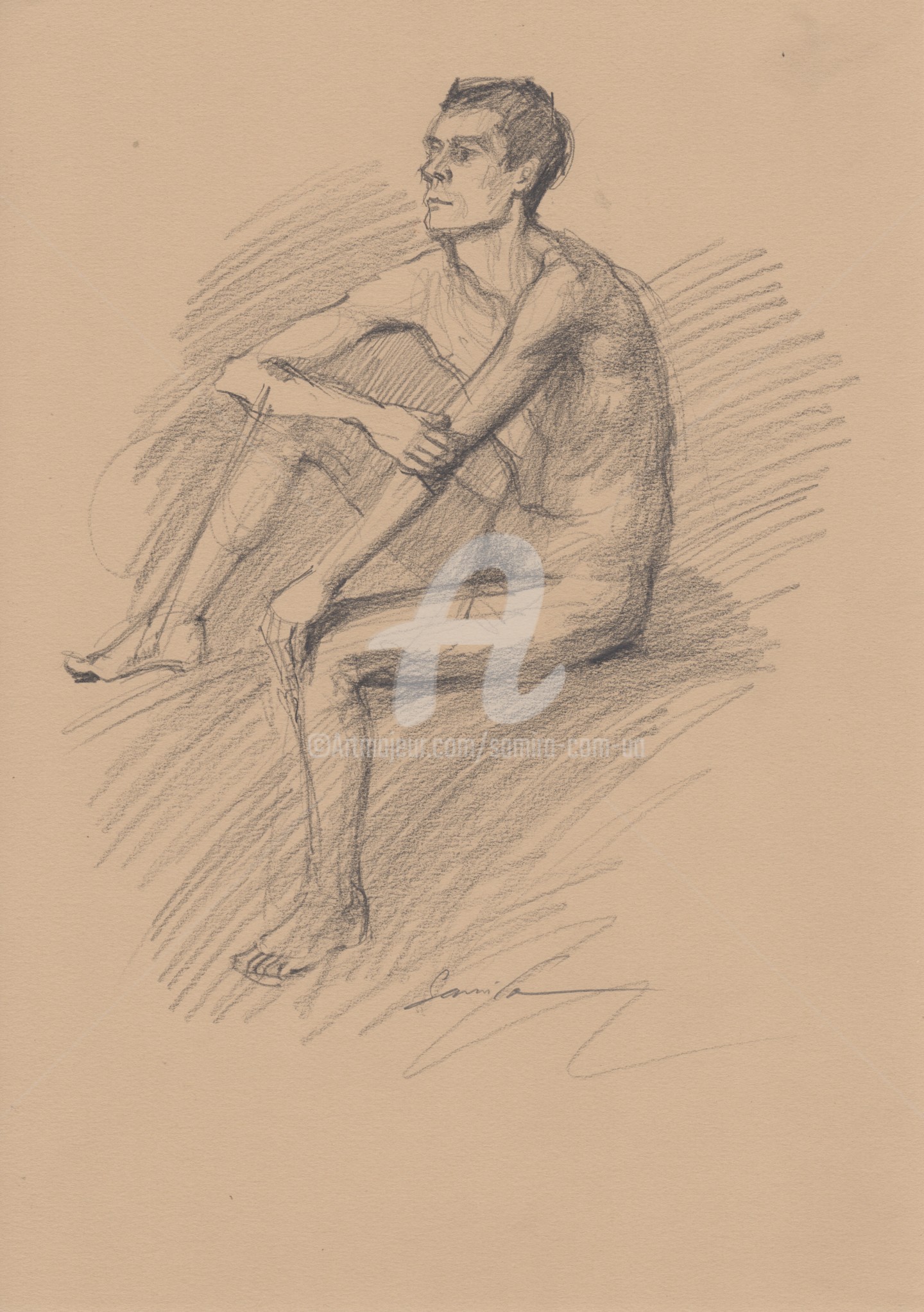 Male Nude Drawings Disegno Da Samira Yanushkova Artmajeur