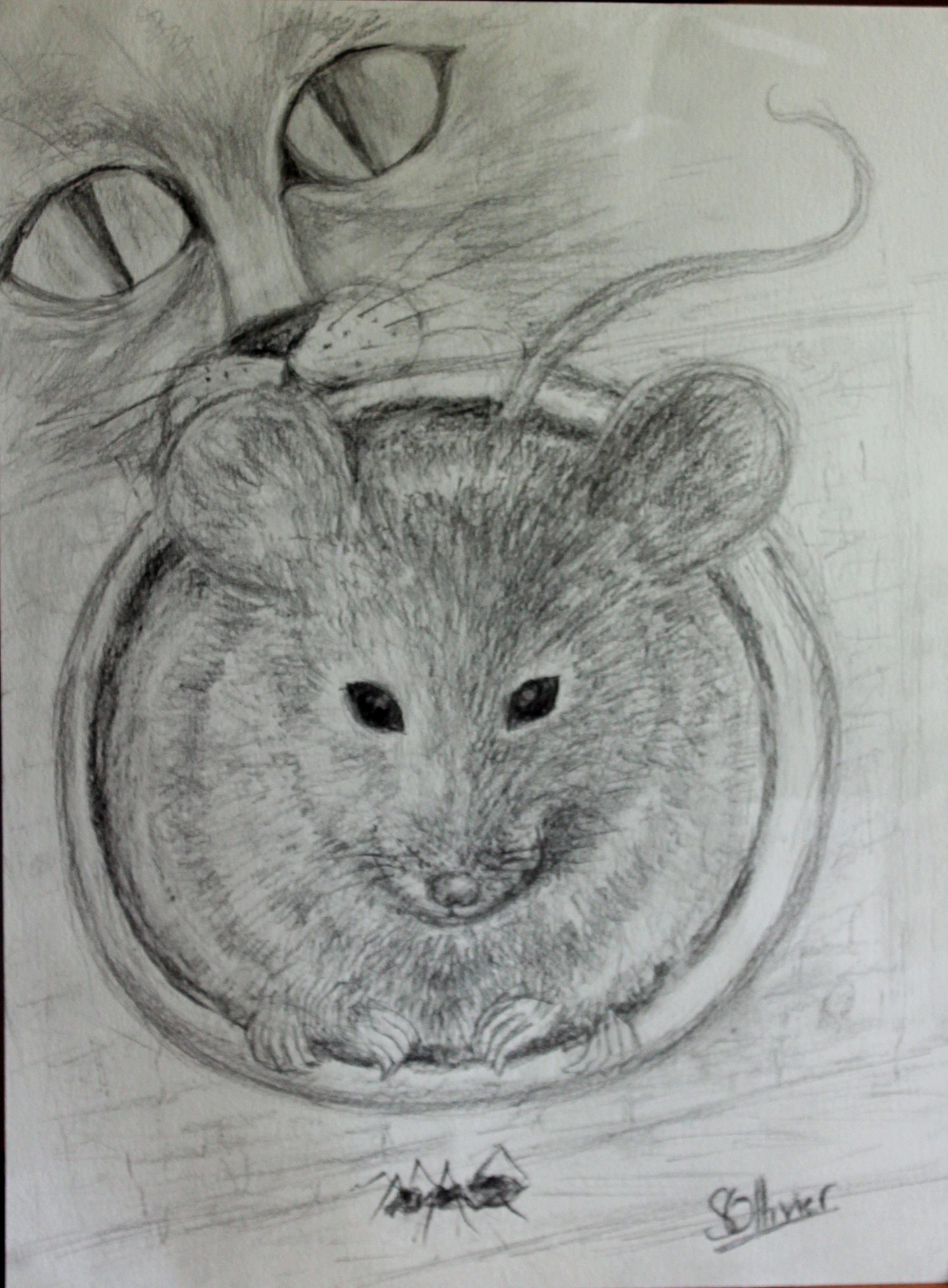 Le Chat Et La Souris Drawing By Sylvie Ollivier Artmajeur