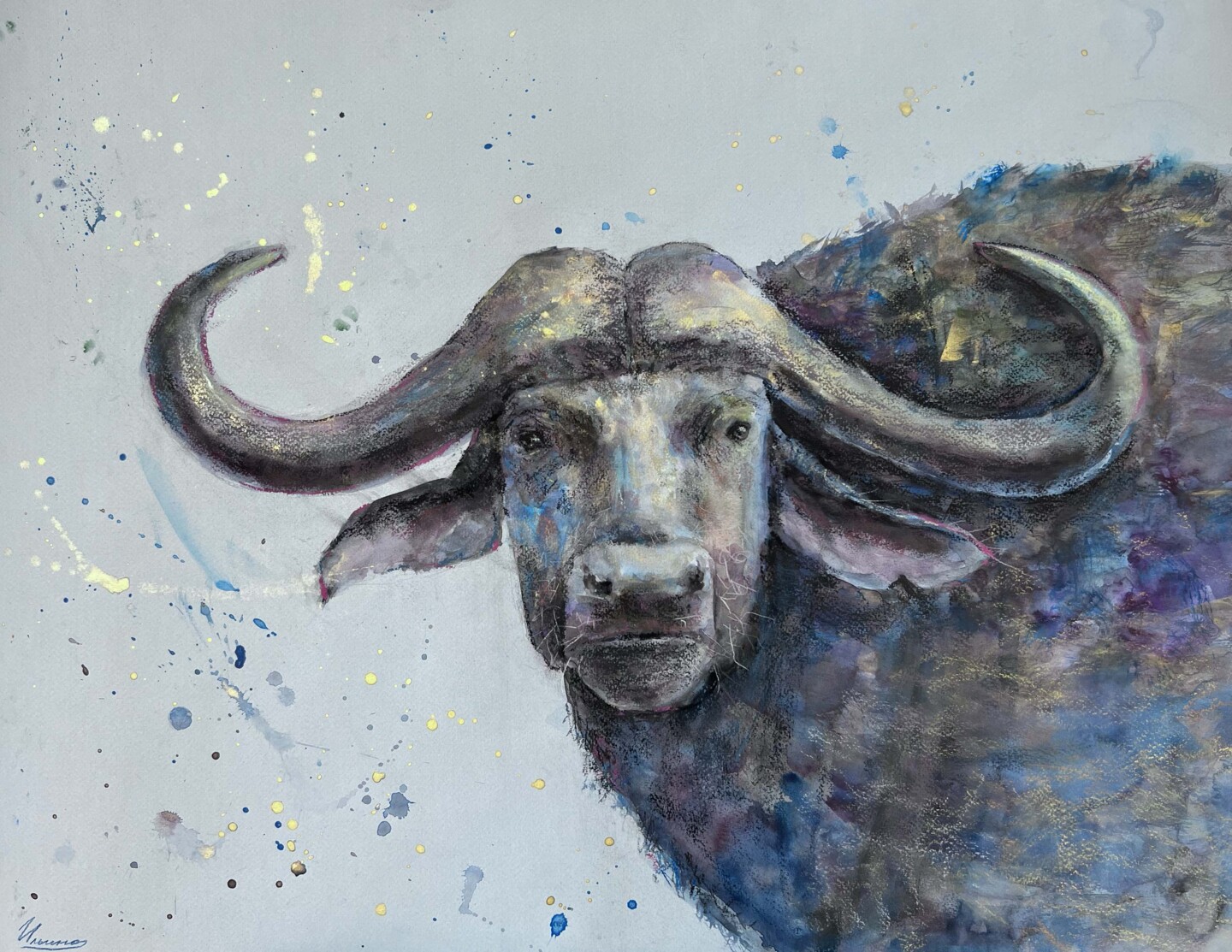 buffalo animal drawing