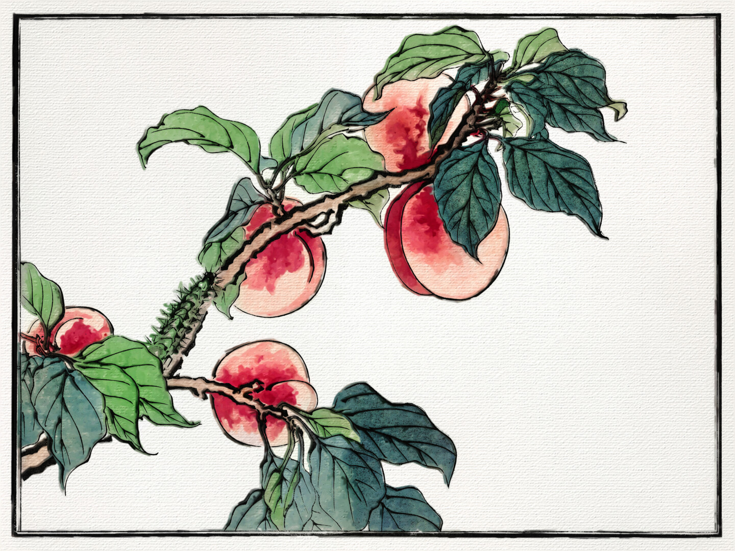 Японские иллюстрации персики