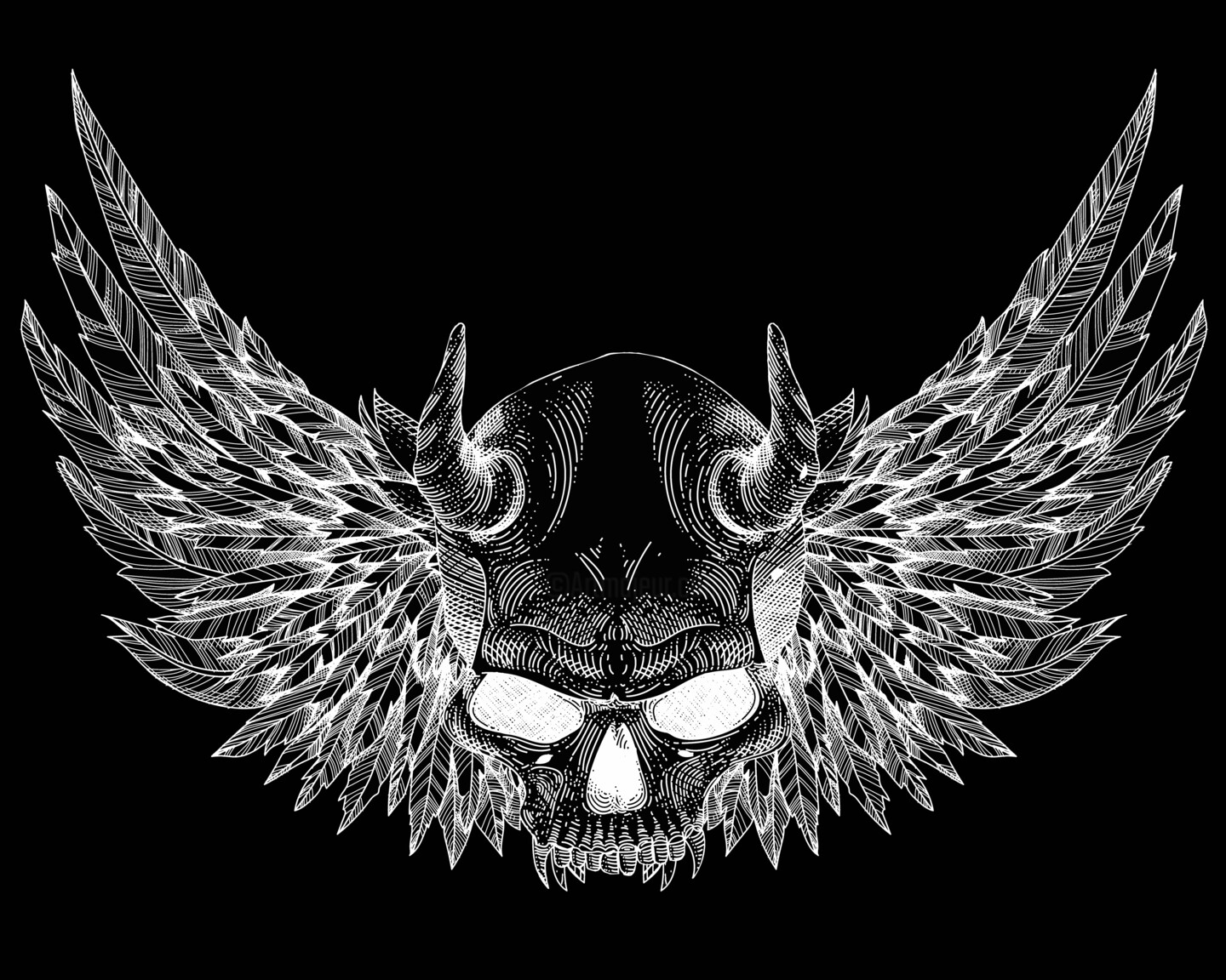 skulls and wings