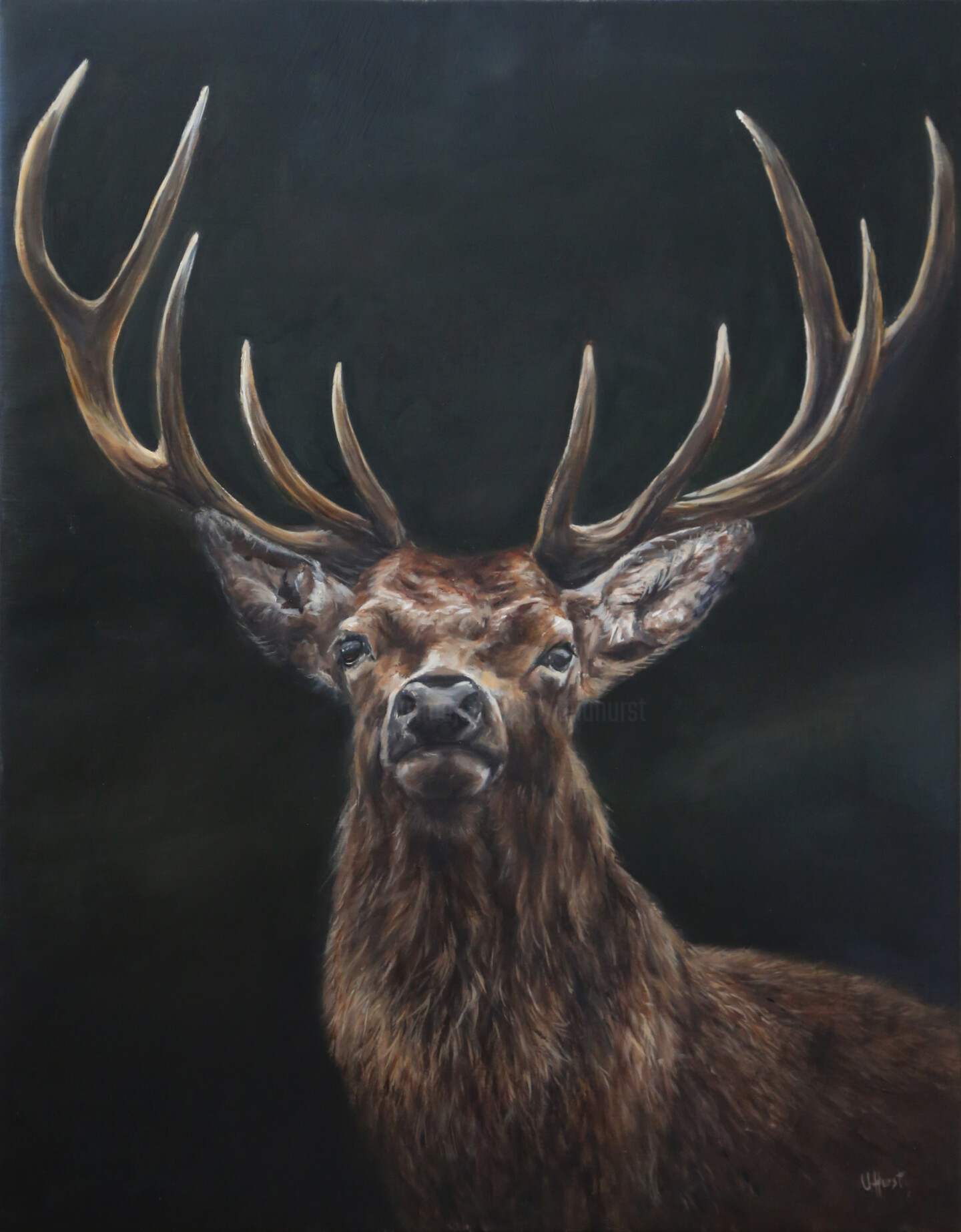 Red Stags Deer Print Stags above Loch Sunart – Aquila Art