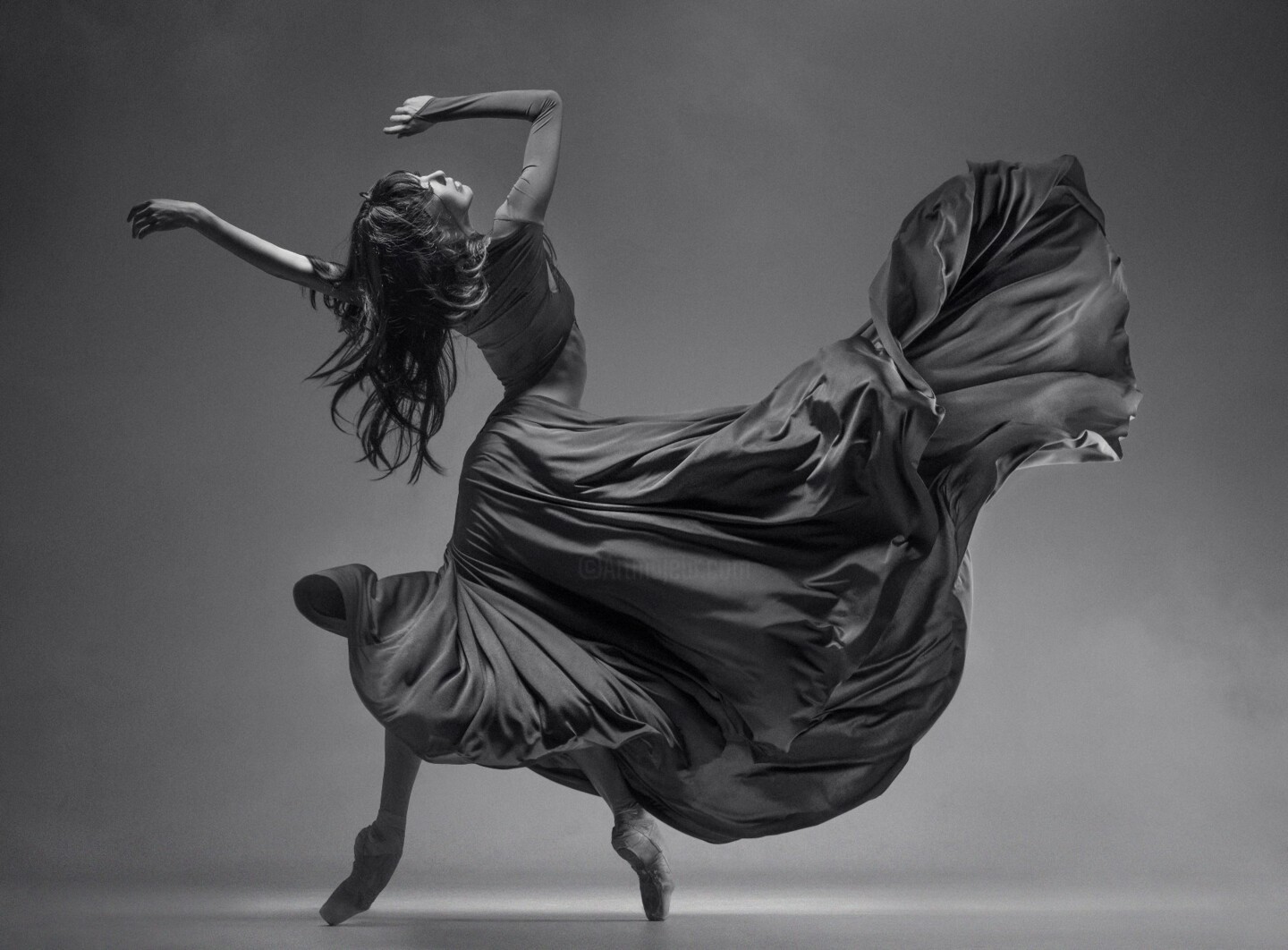 Vadim Stein балерины