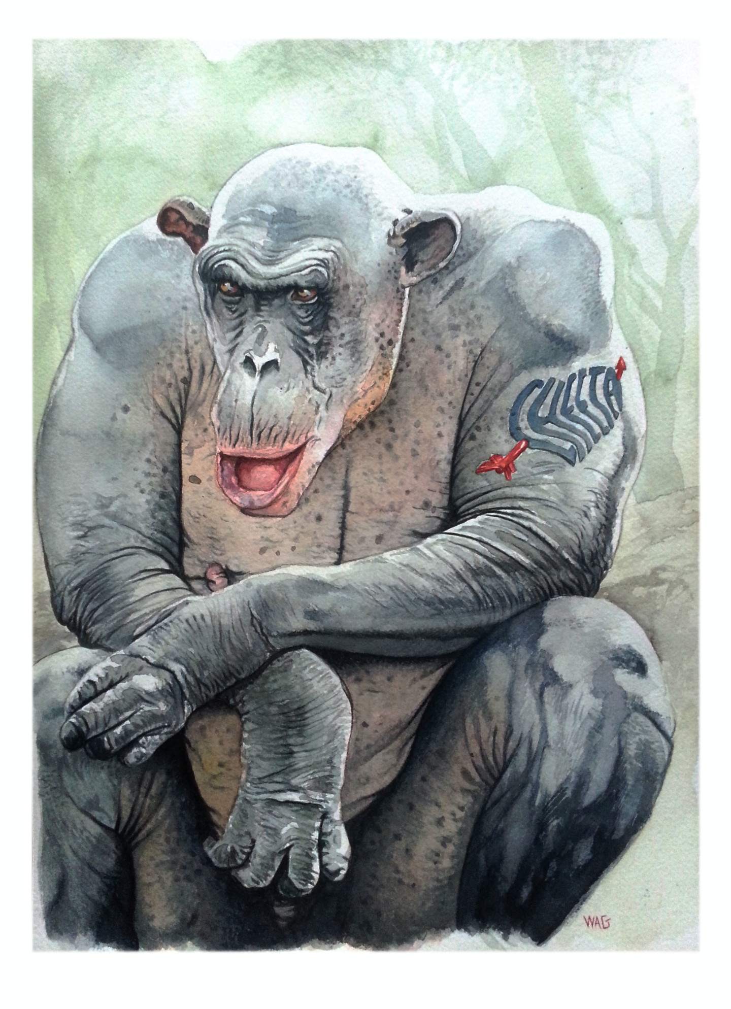 Ape арт обезьяна