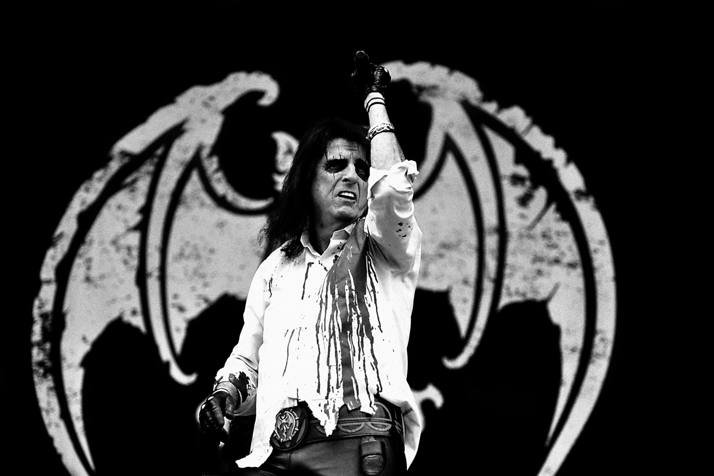 Alice Cooper I, Фотография - David Webr | Artmajeur