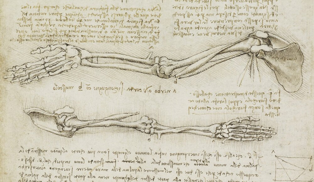 Regisseur van 'All of Us Strangers' gaat Leonardo da Vinci naar de Hollywood-scene brengen