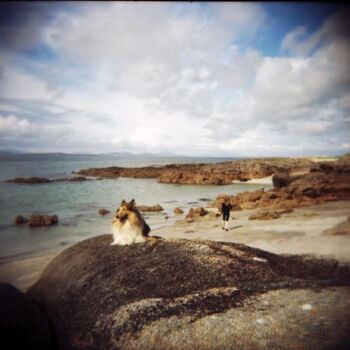 Fotografia intitolato "chien sur la plage" da Agnès M, Opera d'arte originale