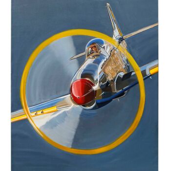 Painting titled "Mustang P51" by Alain Bertrand, Original Artwork, Oil