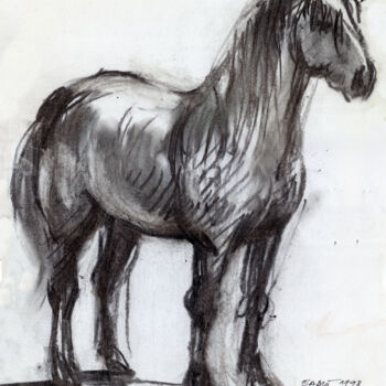 Dibujo titulada "N°938 Cheval blanc" por Alexandre Dumitrescu, Obra de arte original, Carbón