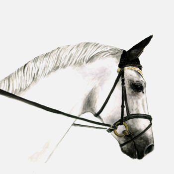 Ζωγραφική με τίτλο "White Horse Waterco…" από Aleksandra Marjanovic, Αυθεντικά έργα τέχνης, Ακουαρέλα