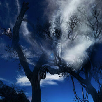 Цифровое искусство под названием "Mystery" - Alice Odilon, Подлинное произведение искусства, Цифровая фотография