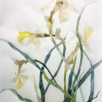 Pintura intitulada "Fading daffodils (2…" por Alisa Diakova, Obras de arte originais, Aquarela