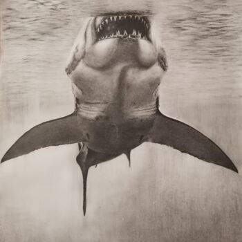Drawing titled "Gran tiburón blanco" by Álvaro Urbanos Jiménez, Original Artwork, Graphite Mounted on Wood Panel