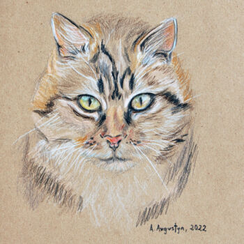 Drawing titled "Portrait of a cat" by Amelia Urszula Augustyn, Original Artwork, Pencil