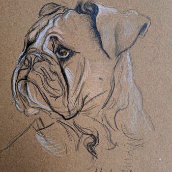 Drawing titled "Bulldog II" by Amelia Urszula Augustyn, Original Artwork, Pencil