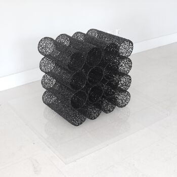 Sculpture titled "Serie " The Unpredi…" by Ana Lima-Netto, Original Artwork, Plastic