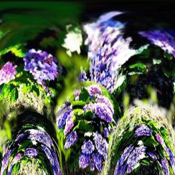 Arte digital titulada "hortensia.jpg" por André Goinaud, Obra de arte original