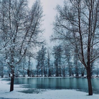 Fotografie mit dem Titel "Winterlandschaft" von Andrea Meister, Original-Kunstwerk, Digitale Fotografie
