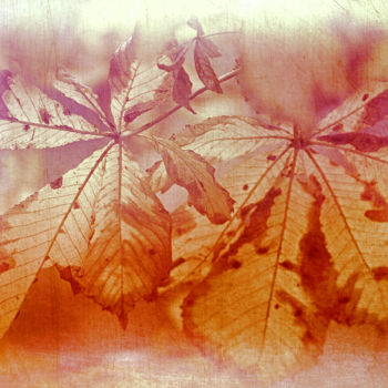 Fotografia intitolato "Осенние листья" da Andrey Petrosyan, Opera d'arte originale, Fotografia digitale